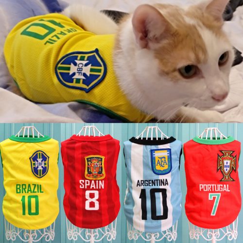 Cat Football Sports soccer super bowl T 